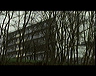 ext_rayon_de_sol-arbres2