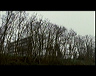 ext_rayon_de_sol-arbres3
